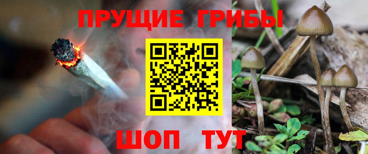 Галлюциногенные грибы прущие грибы  Вход с VPN  Усть-Джегута 